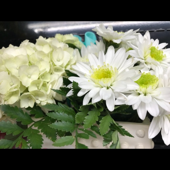 Meet your Posher, Doris - Picture 1 of 2